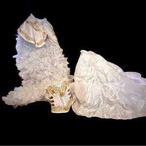 Quinceañera Adán Terriquez Additional Pictures Dress & Train Detail